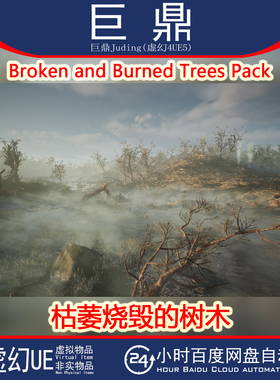虚幻UE5 Broken and Burned Trees Pack枯萎烧毁的树木模型 4.27+