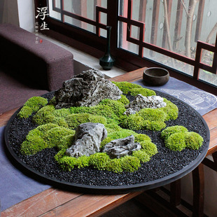 盆景植物绿植 永生苔藓日式 枯山水圆桌景观沙盘禅意新中式