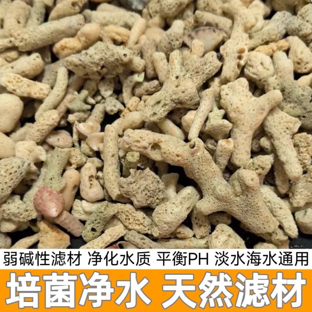 海鲜池专用珊瑚石滤材天然珊瑚骨锦鲤鱼池过滤鱼缸培菌净水珊瑚沙图片