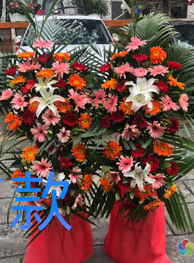 开张花篮商务开业哈尔滨鲜花店送花依兰县方正县宾县花圈鲜花速递