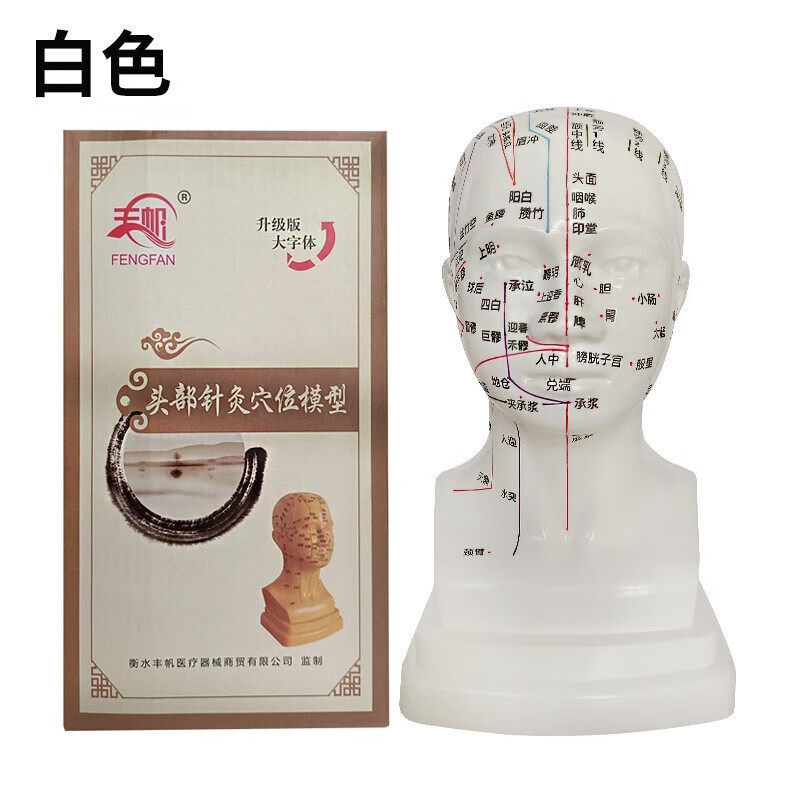 丰帆 高清头部穴位模型针灸刻字头模带穴位全脸面部假头腧穴人体