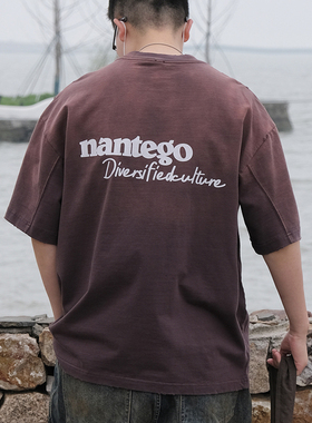 TINGOPLANET2024新款夏季男士纯棉t恤短袖320g重磅渐变废土风宽松