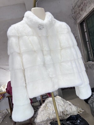 2025冬小母貂网红同款时尚本白色黑色横排小个子立领水貂皮草外套