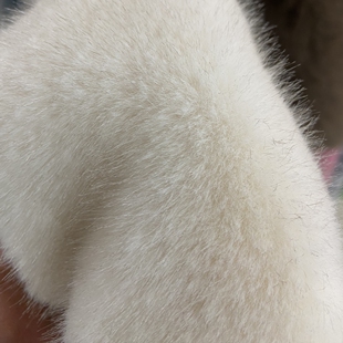 染尖小水貂服装面料毛绒布冬季貂绒大衣布料仿水貂皮草毛领围巾
