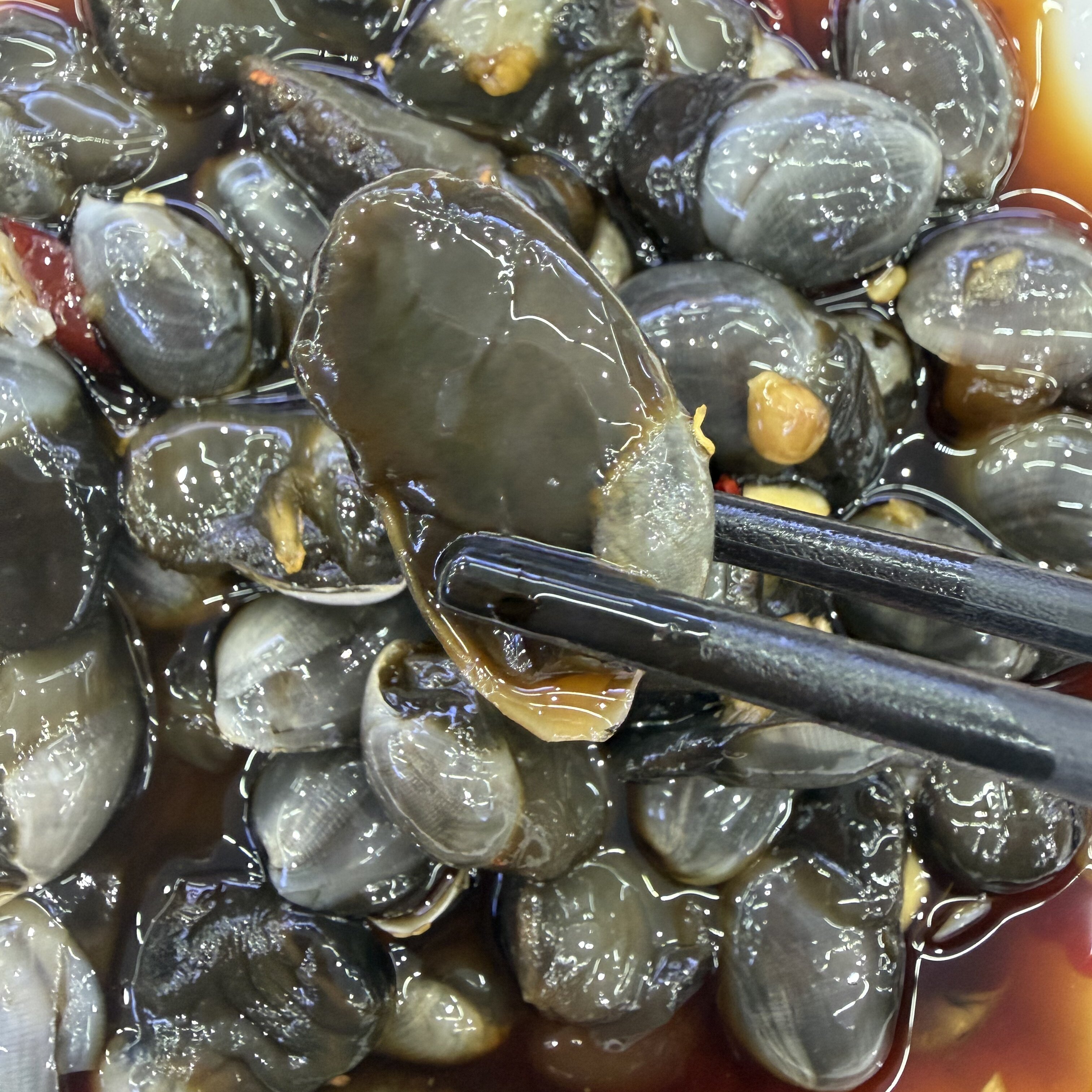 张磊家  巨大号特大泥螺500克一瓶即食（冷冻保存）,水产肉类/新鲜蔬果/熟食,其它,淘宝优惠券,粉丝福利购,淘宝优惠卷