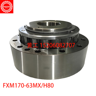 25DX H80超越离合器FXM66 H40 63MX RINGSPANN减速机逆止器FXM170