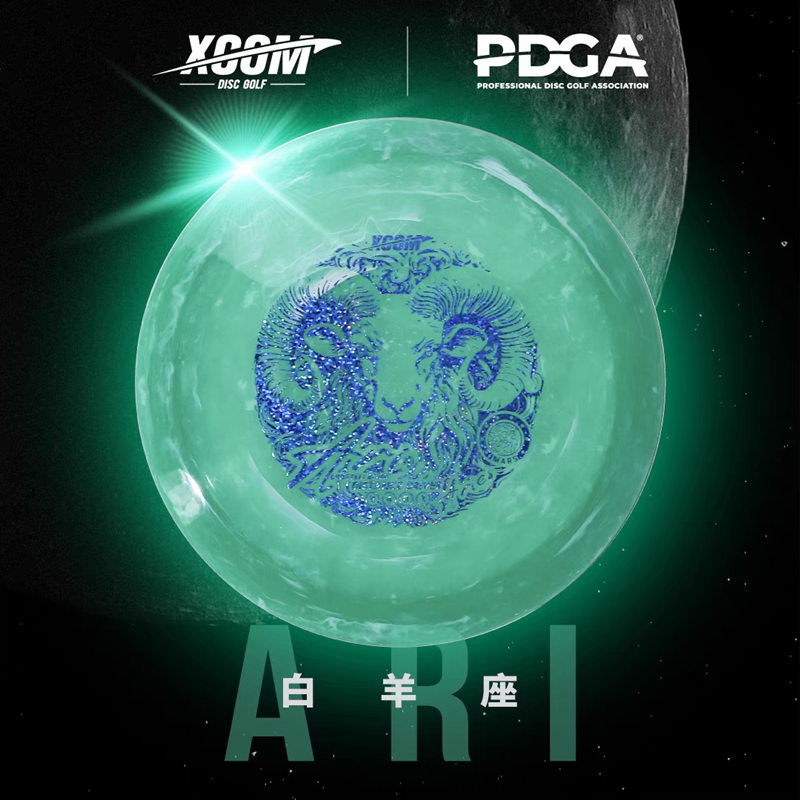 艾克戶外飛盤高爾夫專業比賽用盤