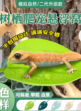 爬宠饲养缸仿真植物爬虫躲避攀爬树栖造景R属性睫角守宫树蛙叶子