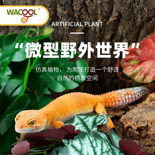 wacool爬宠箱造景高仿真植物摆件守宫黄缘龟爬虫缸躲避装饰假绿植