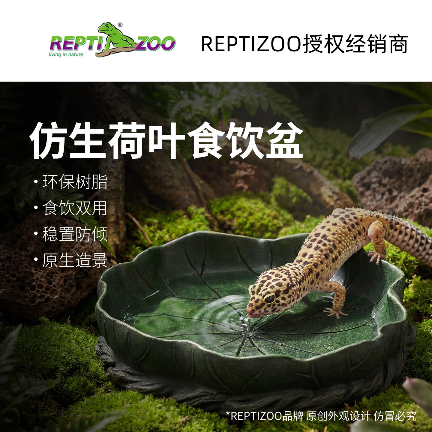 reptizoo水盆食盆荷叶造景