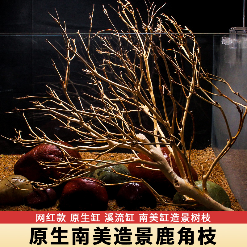 鱼缸沉木造景鹿角枝树森林南美