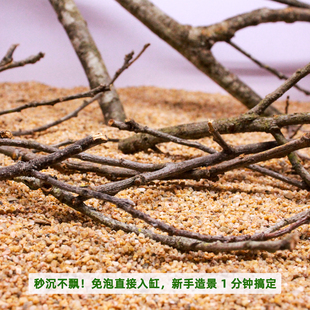 南美缸造景黄梨木树枝黄梨枝细枝鹿角枝沉木造景底床装饰材料枯木