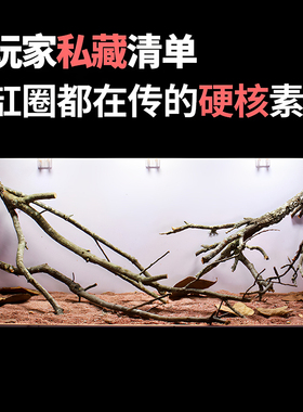 黄梨枝装饰树1.2米大鱼缸造景沉木骨架原木树根南美缸木头鹿角枝