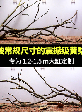 黄梨木树枝鱼缸造景沉木天然鹿角枝黄栎木南美缸枯木树枝木头装饰