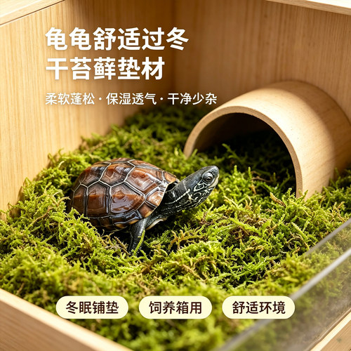 乌龟冬眠干苔藓垫材爬宠专用水苔黄缘龟饲养箱爬宠保湿铺垫干青苔