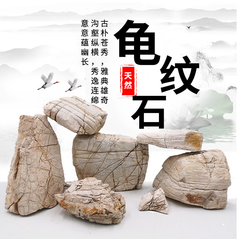 龟纹石天然原石小块手把件盆景石原生三湖慈鲷鱼缸假山装饰造景石