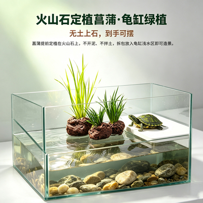 生态养龟绿植水培菖蒲火山石水草龟缸造景乌龟缸生态净水观赏植物