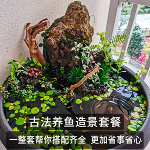 古法鱼缸造景全套生态养鱼水草植物套餐浮萍水芙蓉绿菊水草缸鱼草