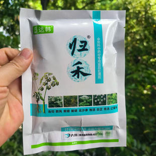 中药材苗后处理剂当归柴胡前胡白芷独活羌活大黄党参4-6叶用