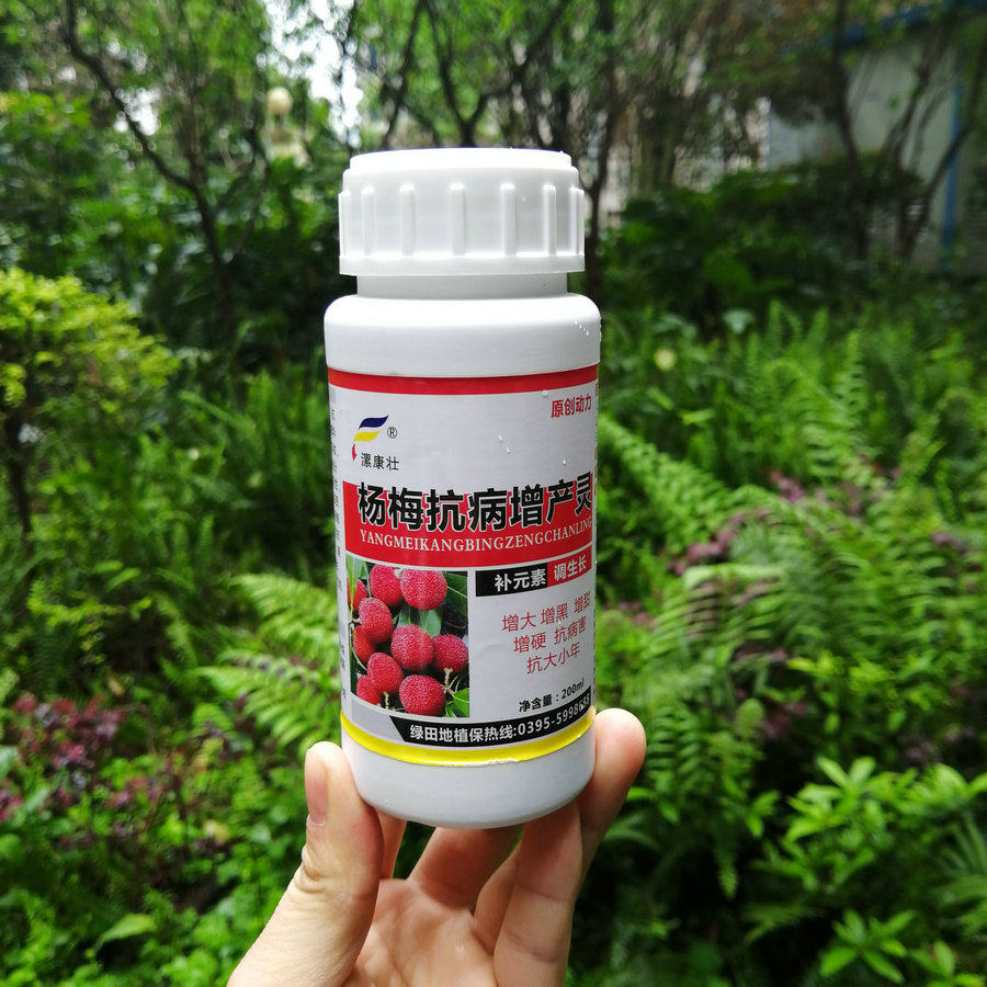 漯康壮 杨梅专用抗病增产灵 杨梅膨大剂 营养液 靓色增强汁多