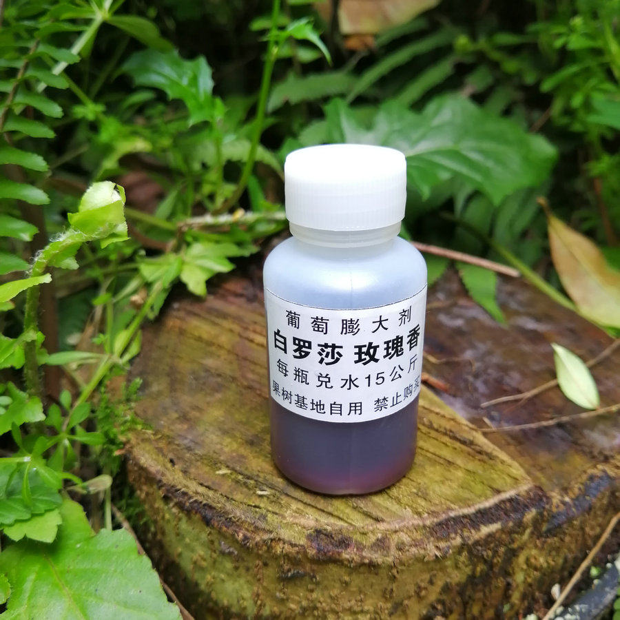 白罗莎玫瑰香葡萄膨大剂膨大素调节剂果树肥料 软梗不裂果香味好