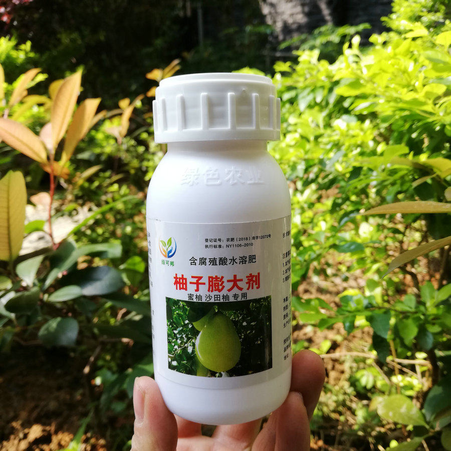 果树肥料沙田柚蜜柚专用膨大剂丰新型肥料
