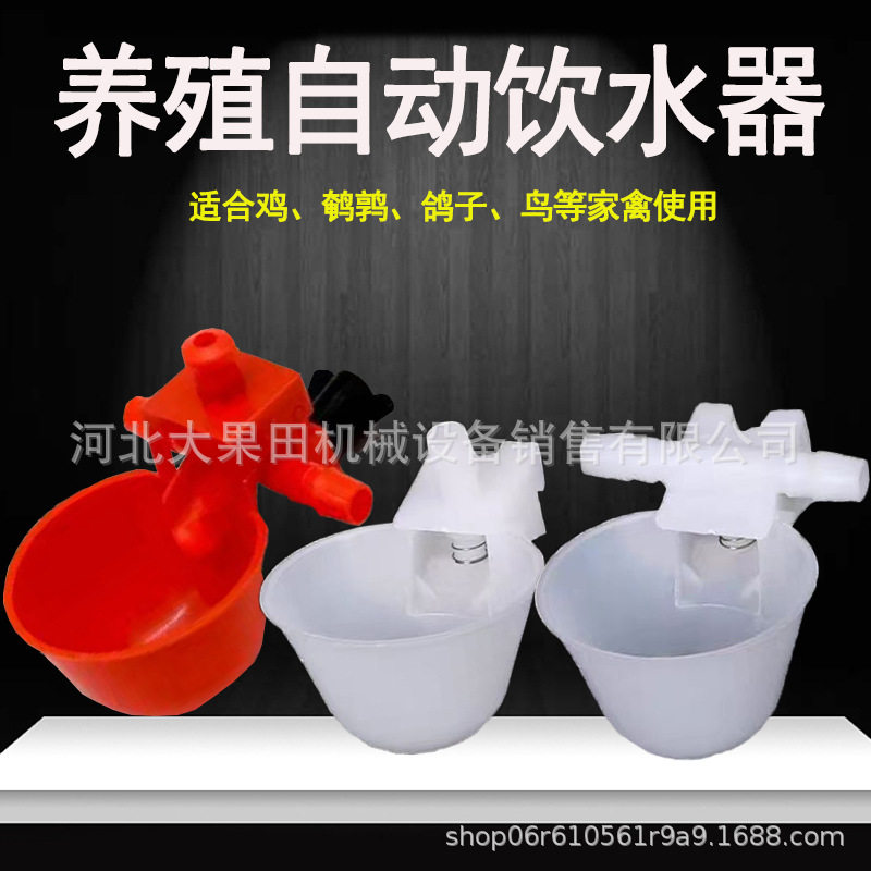 家禽全自动饮水碗鸡鸽子鹌鹑喝水碗饮水器笼挂水箱开孔水满自动停