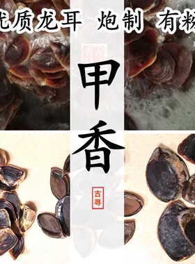 炮制甲香合香专用香材原料耳螺厣