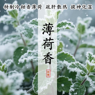 薄荷草薄荷冰提神解郁化湿合香料