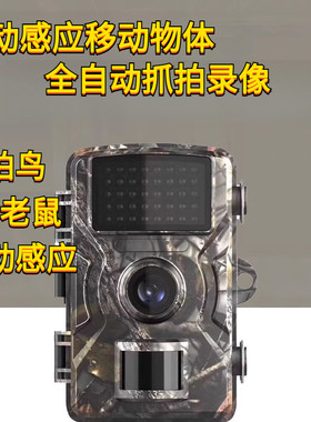 2寸屏狩猎动物相机户外高清夜视感应摄像记录鱼塘相机果园科研