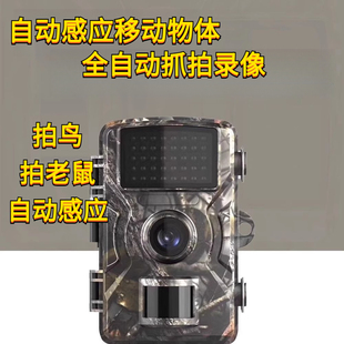 2寸屏狩猎动物相机户外高清夜视感应摄像记录鱼塘相机果园科研