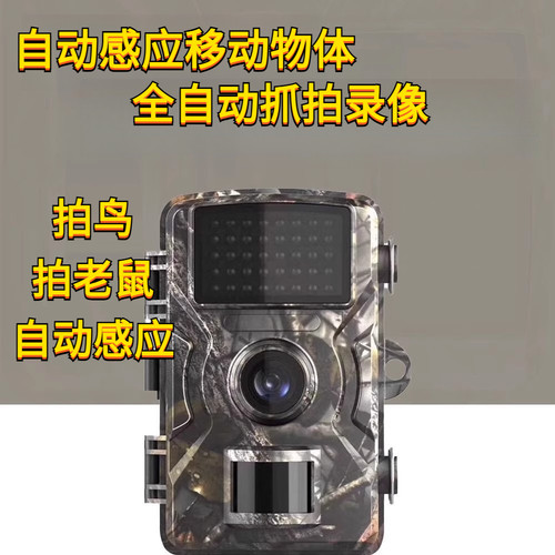 2寸屏狩猎动物相机户外高清夜视感应摄像记录鱼塘相机果园科研