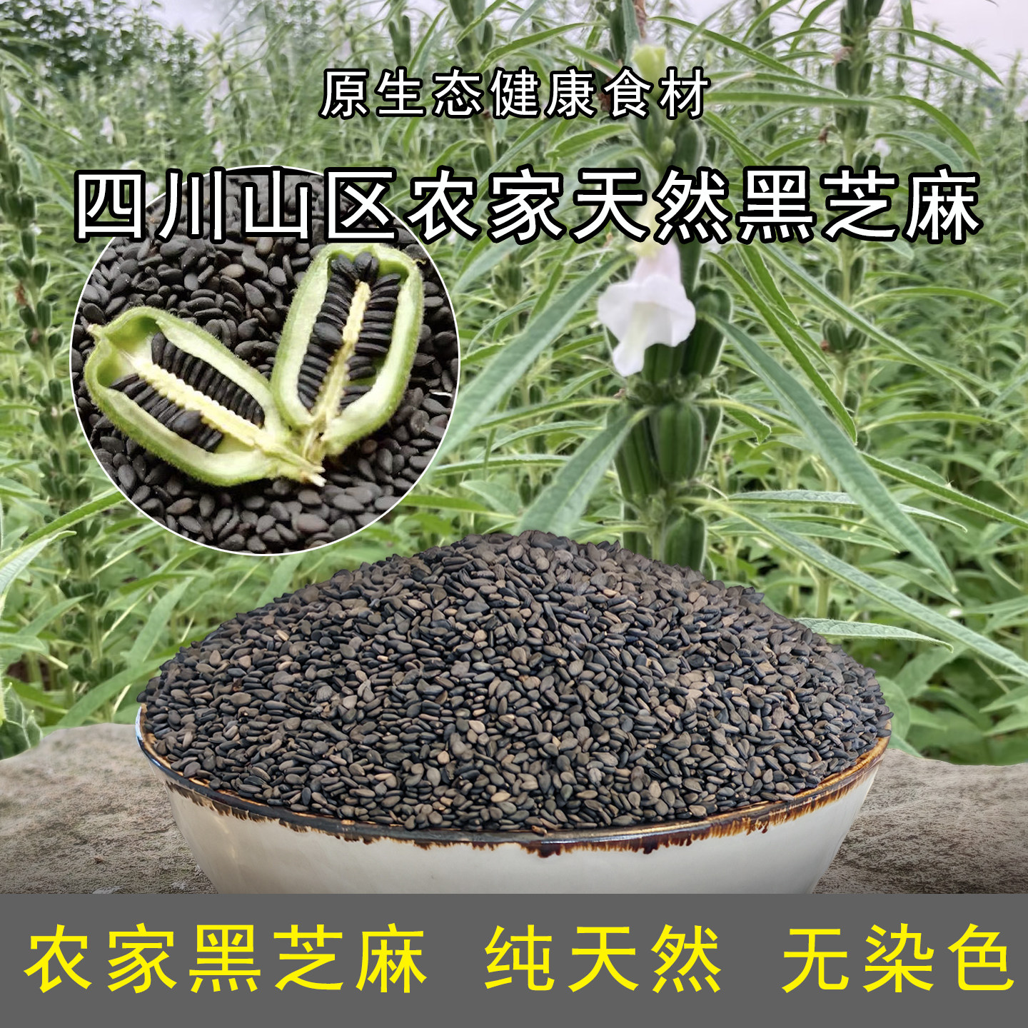 黑芝麻生老品种四川农家自种新货无染色打豆浆专选纯天然可药用