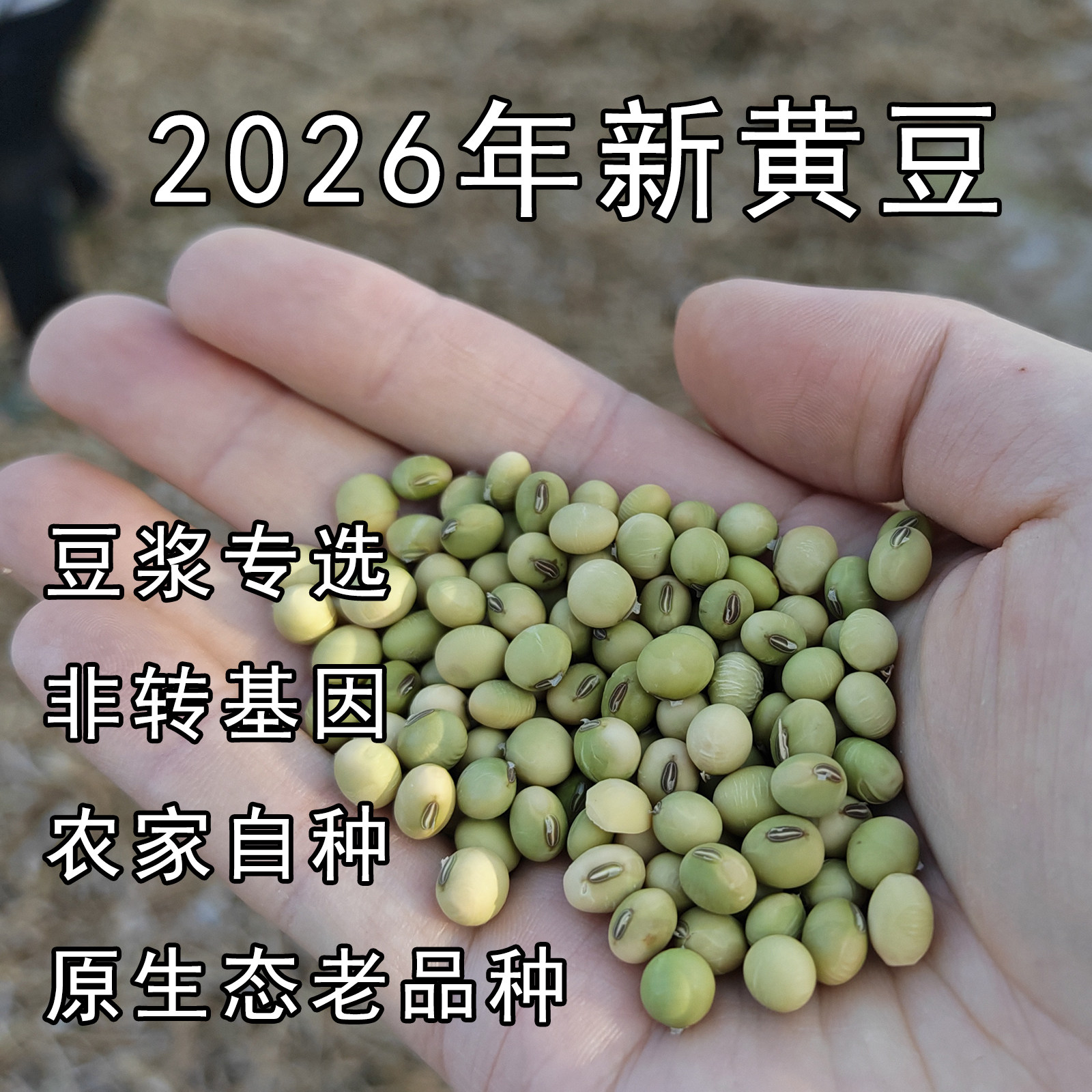 优选老品种土黄豆2026新货四川农家自种非转基因绿篮子打豆浆专用