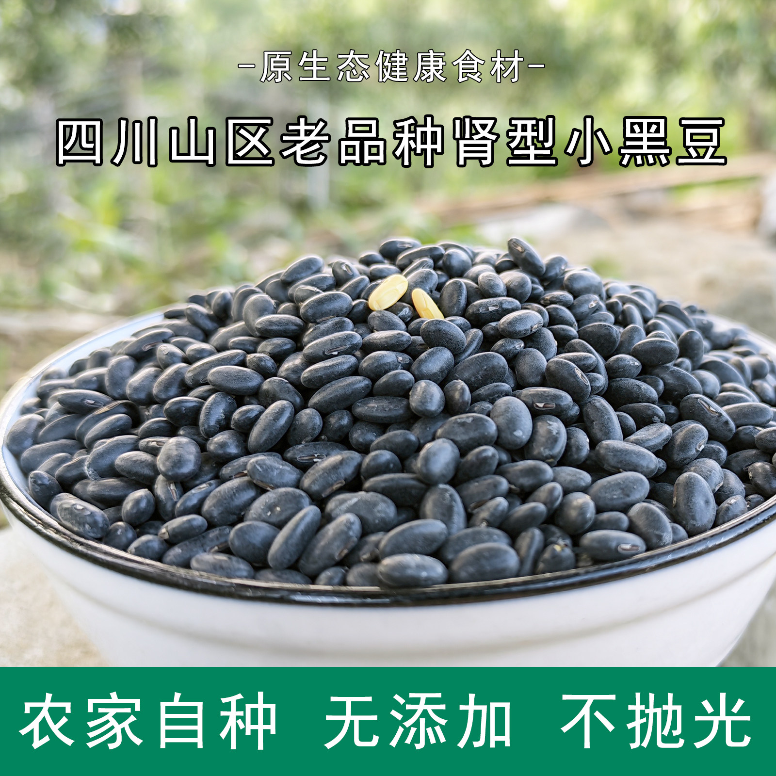 肾形小黑豆黄心老品种四川农家自种天然非转可药用打豆浆发芽专选