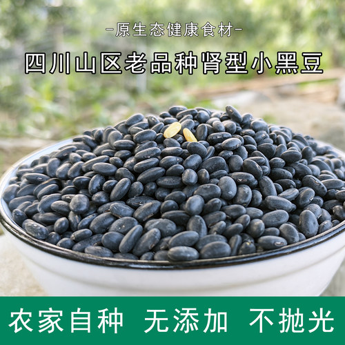 肾形小黑豆黄心老品种四川农家自种天然非转可药用打豆浆发芽专选