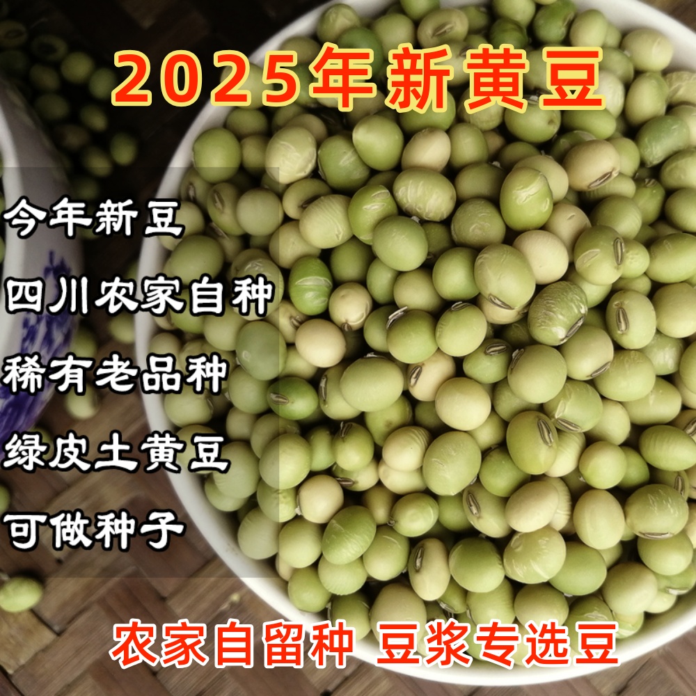 农家自种土黄豆2025年四川本地老品种非转基因绿皮青皮打豆浆专用