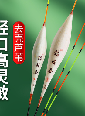 锦鳞春60长鲫鱼鲤鱼去壳芦苇浮漂黑坑休闲入水醒目稳定高灵敏
