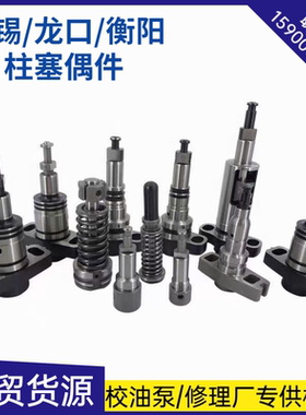 龙口柱塞912/937/938/928无锡PW2/PW3/PL1/PL2 衡阳PN11/PN12AD21