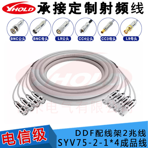 SYV75-2-1*4 2M线高频同轴电缆2兆线L9转BNC转CC4插头4芯成品跳线