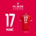 22-23 Season Home 17# Mane