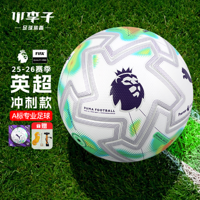 小李子彪马英超联赛决赛版足球