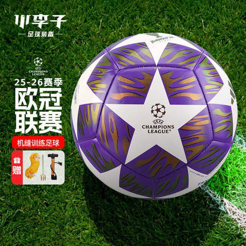 小李子阿迪达斯4号5号机缝足球