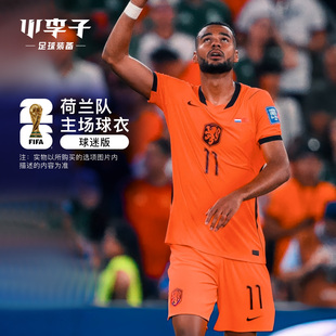小李子NIKE耐克2026世界杯 荷兰队主场球迷版短袖球衣IB5334-809
