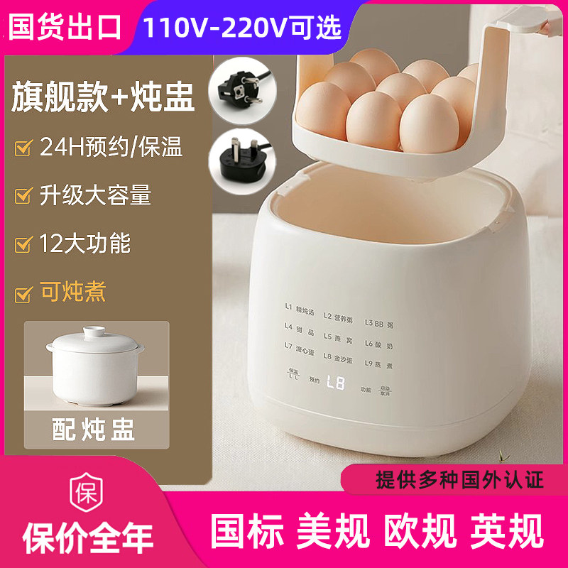 110V蒸蛋器美英欧规小型家用煮蛋器全自动多功能煮鸡蛋台湾早餐机