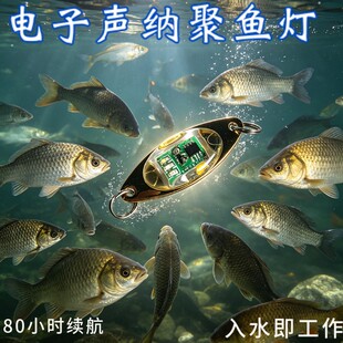 2026新款电子声纳聚鱼器大号铁片水下LED路亚亮片诱鱼灯电