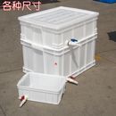 加厚养龟箱塑料养鱼水箱带排水带盖养殖箱可换水带阀门周转箱龟缸