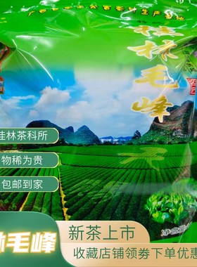 广西绿茶桂林毛峰新茶桂林茶科所漓江特产天赐茗茶毛峰250克包邮