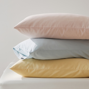 秋冬保暖加厚高支100S全棉长绒棉磨毛枕套单件简约纯色48 74cm