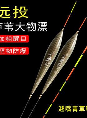 芦苇大物漂35-70CM青草鲢鳙浮漂